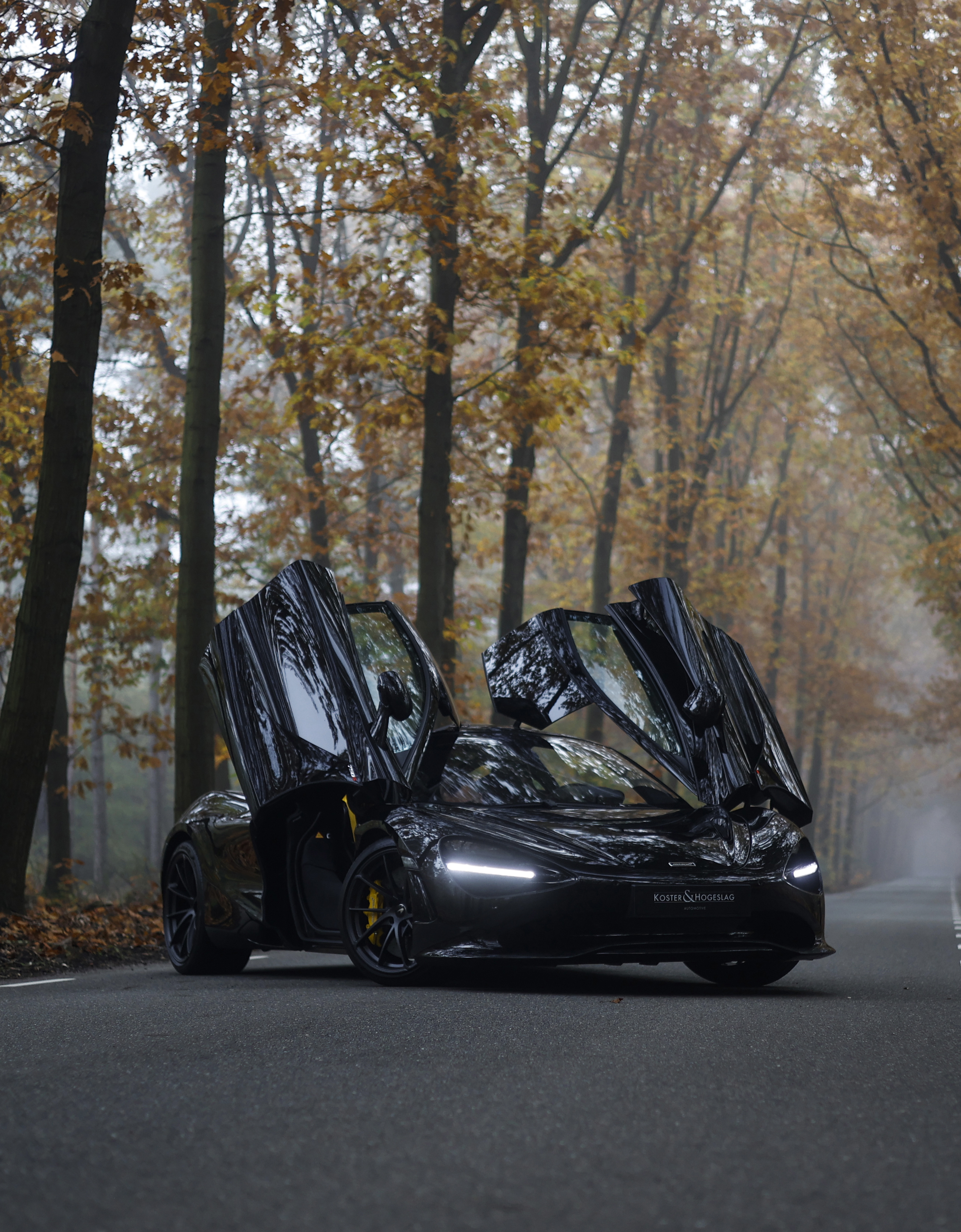 Sports Cars