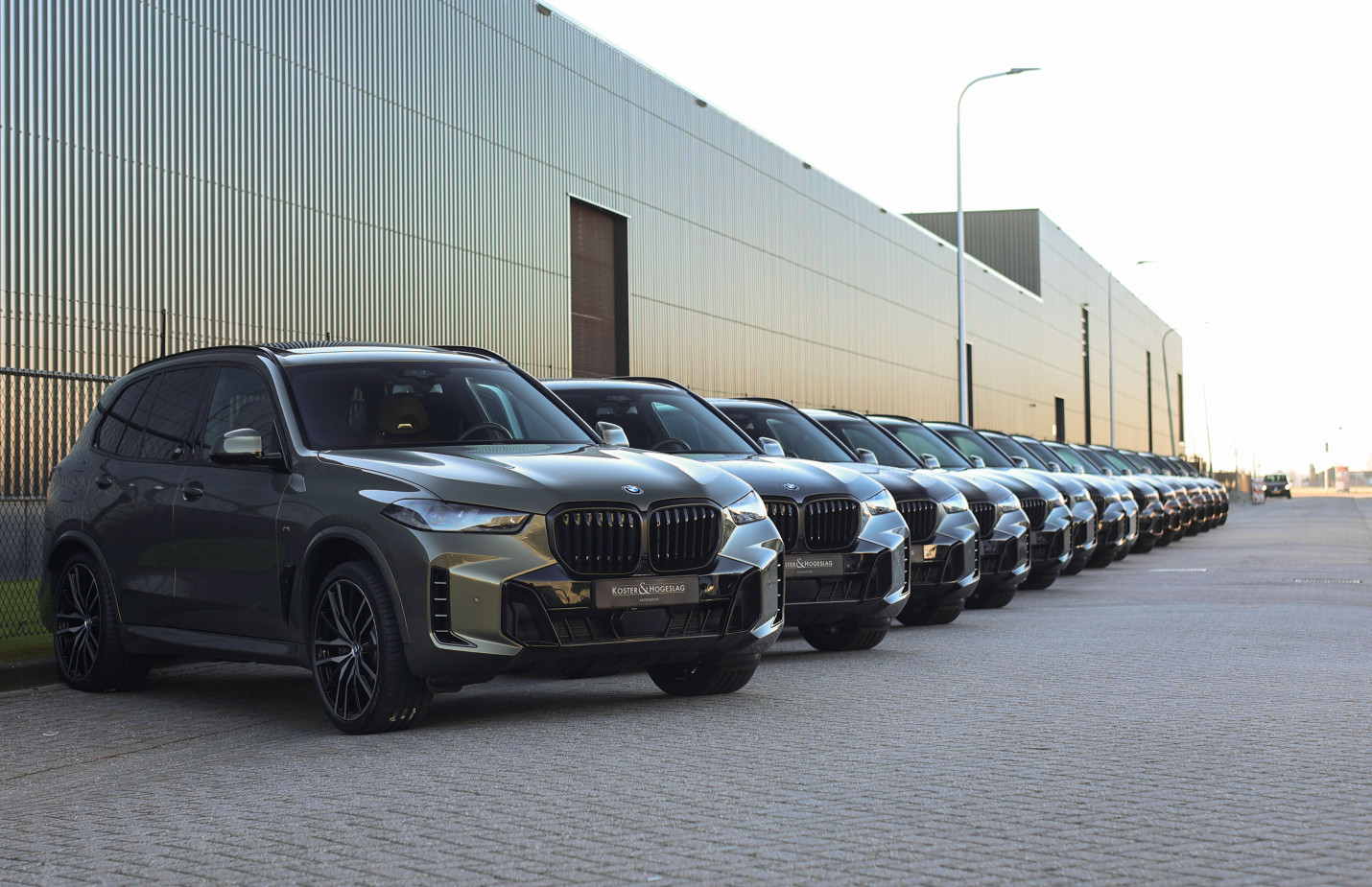 Hybride SUV's