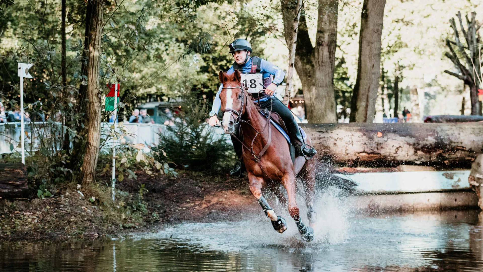Terugblik: Ruiterdag Hattem