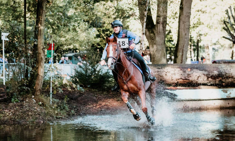 Terugblik: Ruiterdag Hattem